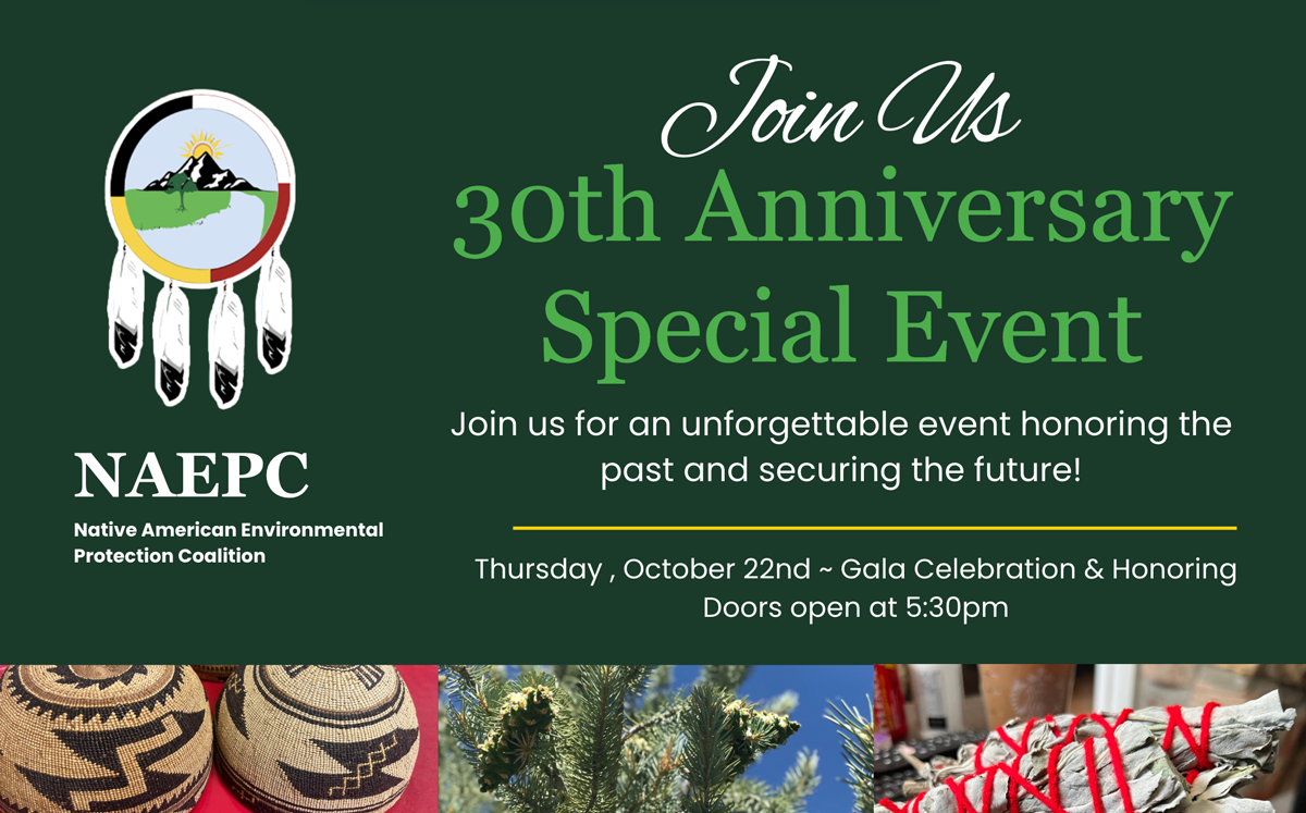 NAEPC-event-banner NAEPC Event Banner 30th Anniversary
